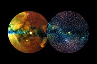 First eROSITA sky-survey data release